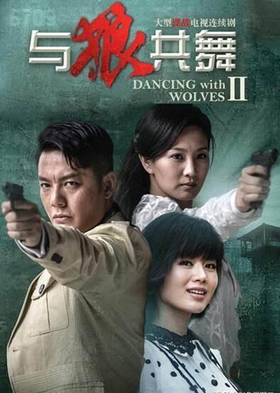 与狼共舞电视剧,与狼共舞电视剧，深入解析一部独特的荧幕佳作