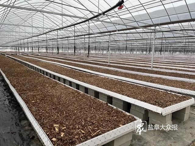 第570页