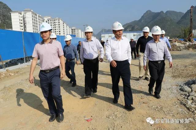 河池都安新闻最新动态更新